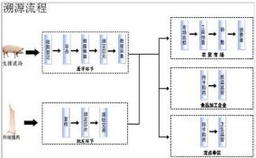 豬肉溯源系統(tǒng)軟件設(shè)計(jì)與開(kāi)發(fā)解決方案 構(gòu)筑食品安全數(shù)字防線